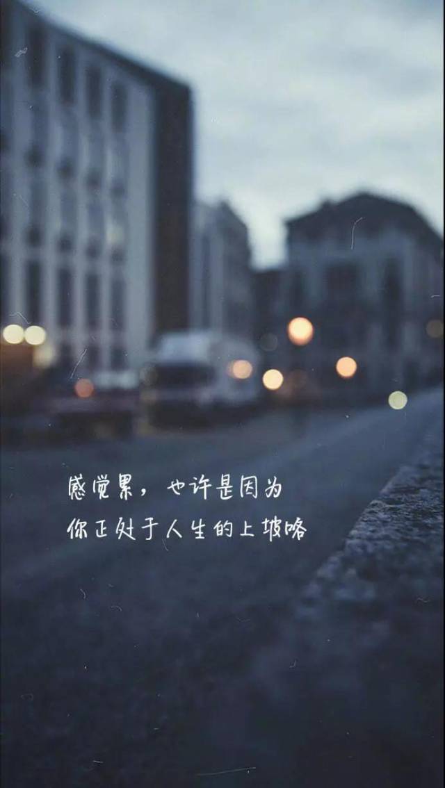 文字壁纸|坚持不是胜利,坚持到底才是,土味情话