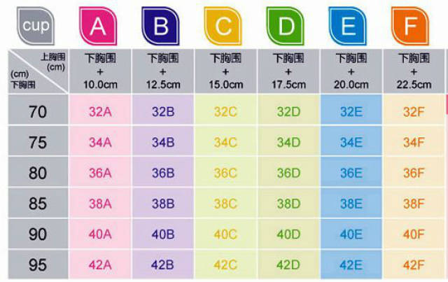 5cm; e罩杯:约20cm; f罩杯:约22.