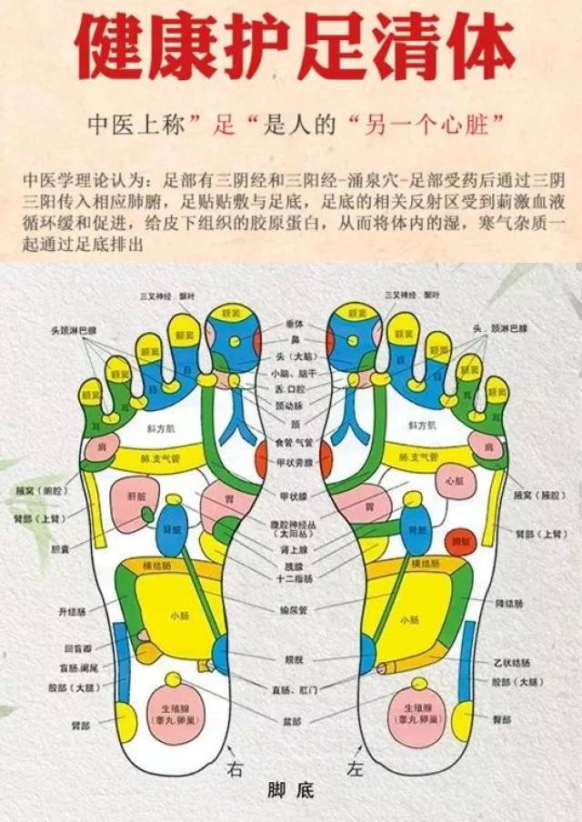 湿寒逼人,冻手冻脚不用怕,我有排.毒.祛.湿保暖超能手