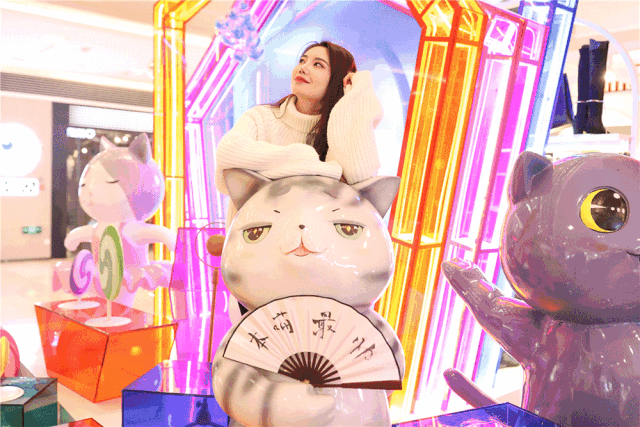 引来了拍照狂潮 在观复猫的大本营里 除了可以邂逅到可爱的观复猫之外