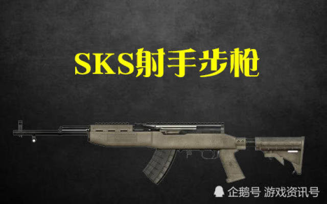 top.1 sks射手步枪