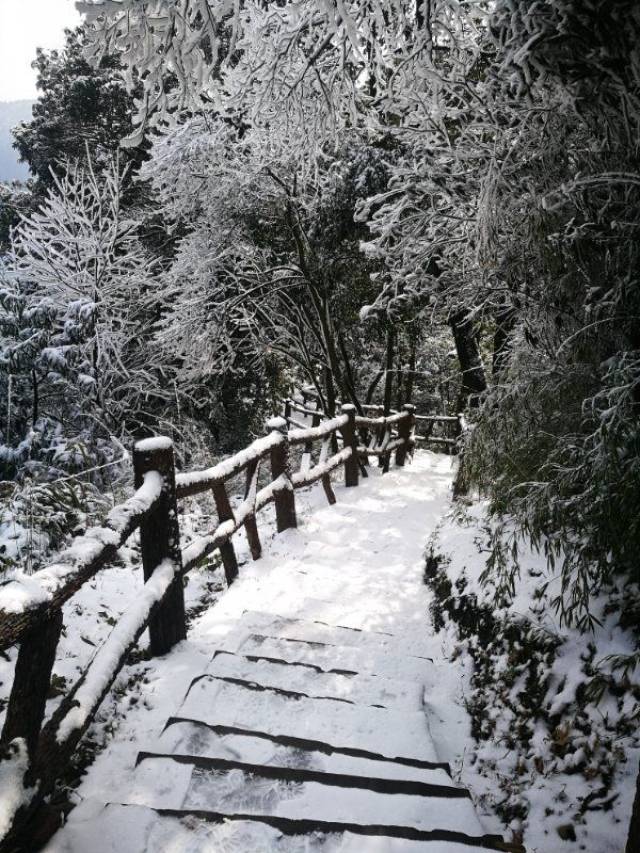 坐着高铁来旅行,赴一场天台山和雪的约会!