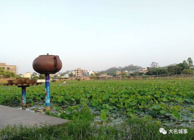 信宜市八坊村