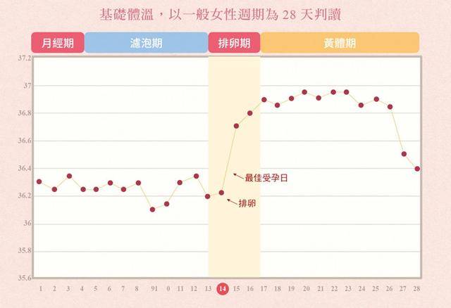 3,基础体温变化