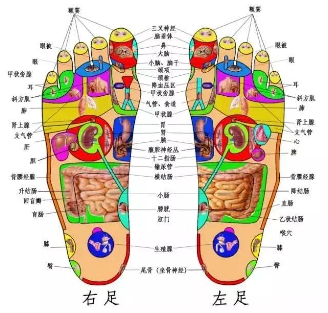 百病从脚治,用好足底"生命密码",一病一绝招!