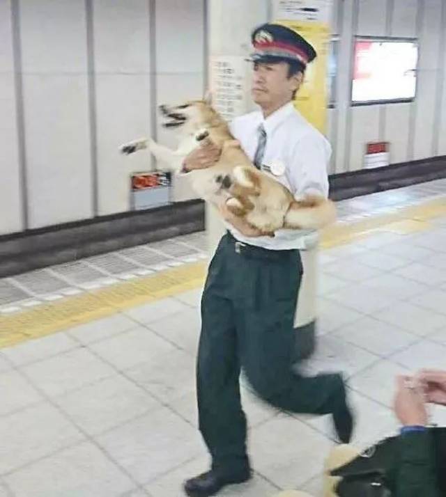被逮捕回警察局,面对无情的法律的制裁.