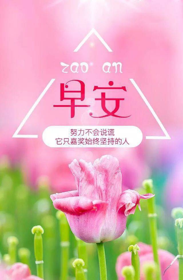 周五早安鼓舞激励经典语录 早晨正能量图片带文字