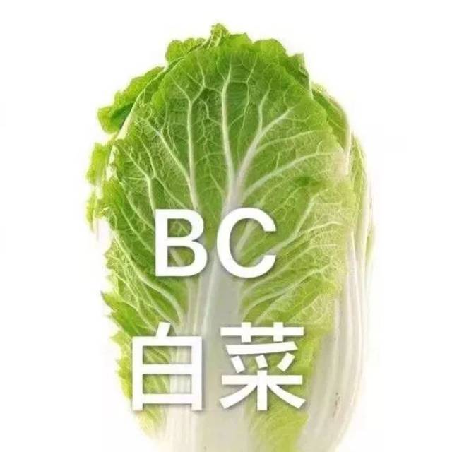 白菜=白chi