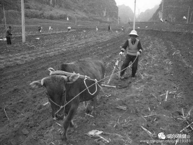 远去的记忆,60,70年代农村生活丨经历过的现在都老了