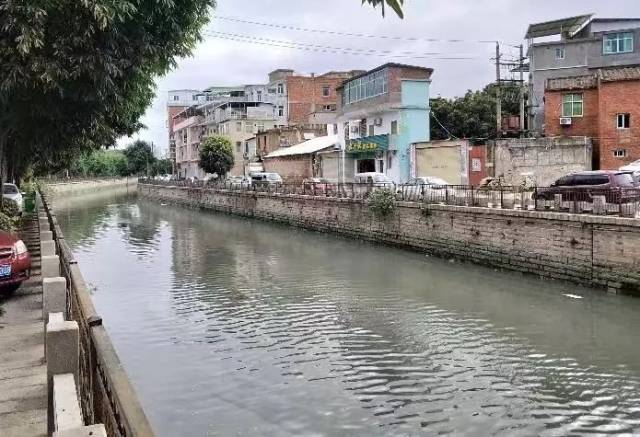 泉州市区海滨街道笋浯社区附近 两名死者的遗体,已从内沟河打捞上岸