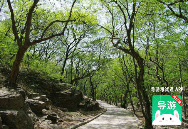 安徽景点讲解导游词---宿州市:皇藏峪国家森林