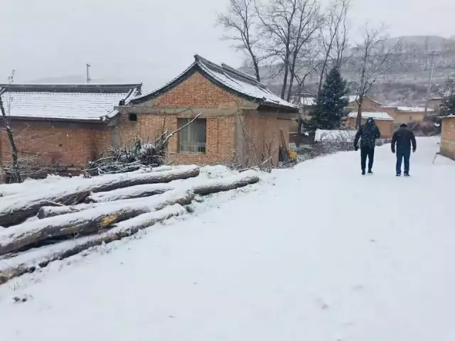 大雪纷飞!陇南又下雪了(最新美图)