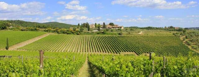 2017年度意大利葡萄酒企业实力排行榜:第69-6