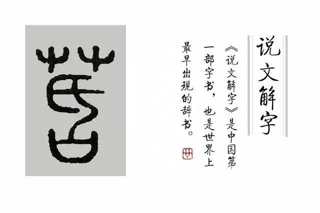 《说文解字》第64课:成语"葑菲之采"是什么意思,"葑"是什么