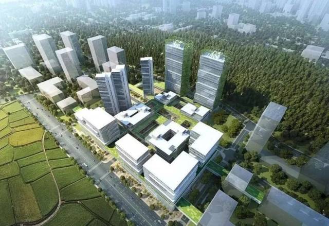 全市第一个未来产业园长啥样?最新进展看这里