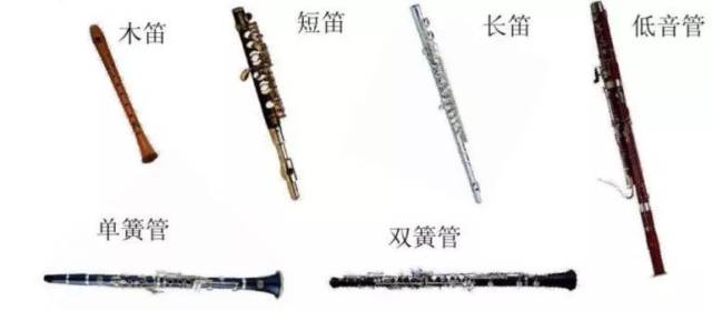 铜管乐器分别有圆号,小号,长号,大号;打击乐器的种类繁多