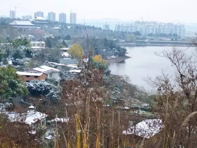 绵阳城区昨晚的雪景不是在朋友圈,这里才是最美的实景