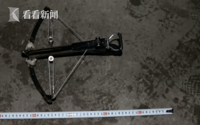 团伙用弓弩射毒针杀狗 平均每天5只遭毒手
