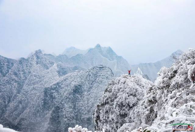 雨夹雪转中雪!秀山要下雪了!