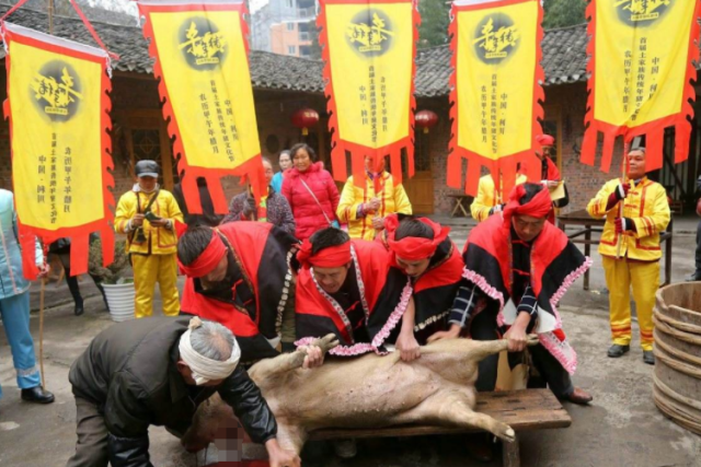 土家族的"杀年猪"习俗,引来上千游客前来"蹭饭"