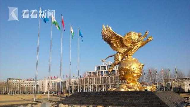 天狮造梦:中国直销业20年"野蛮生长"样本