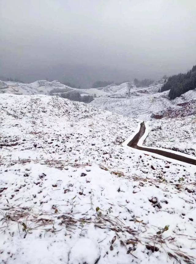 天宫山白雪皑皑覆盖 感觉可以打雪仗,堆雪人了