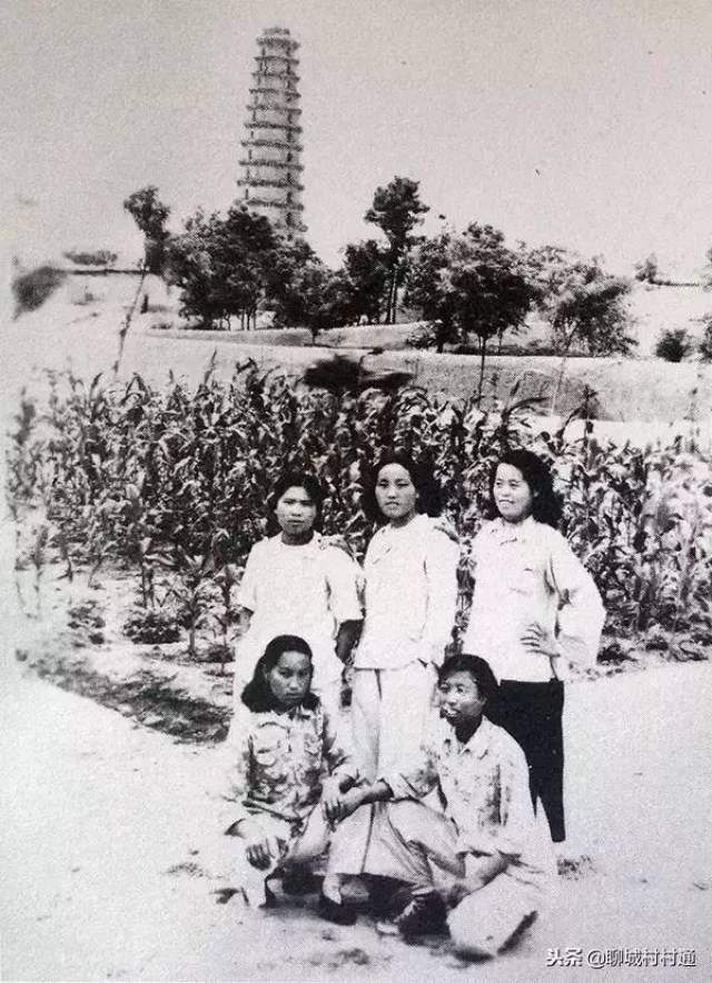 难得的莘县古燕塔照片!最早的拍摄于1934年!