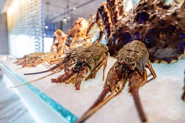 杭州殿堂级自助餐来了！进店先送价值600的头盘！新开的这家餐厅，老板应该没想过要赚钱。