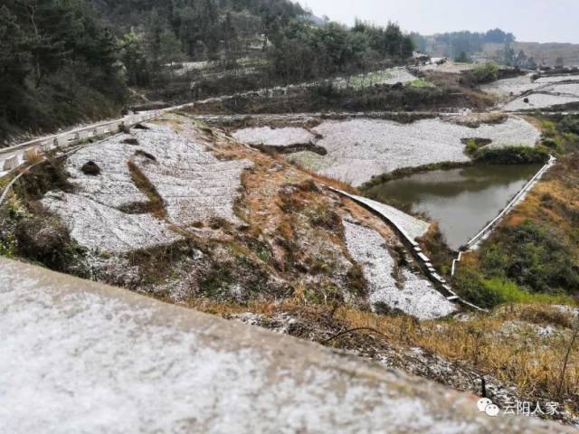 清水土家族小学里的孩子 跑出来一起玩雪 追逐嬉戏 小花也提醒各位 天