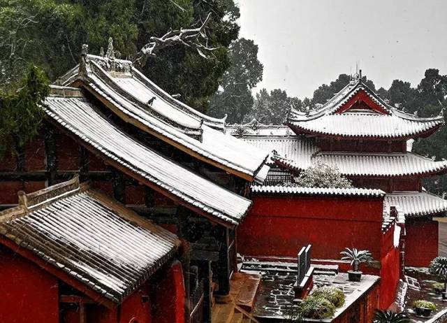 一夜之间 一场冬雪为梓潼大庙山披上了银装 在白雪的映衬下呈现出别样