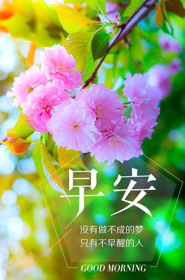 簲輤¼ 糿ͼƬ