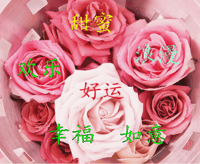 早上好,今日12月29,一首《对自己好点》太好听了!送给