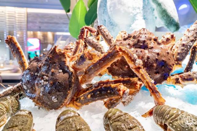 杭州殿堂级自助餐来了！进店先送价值600的头盘！新开的这家餐厅，老板应该没想过要赚钱。