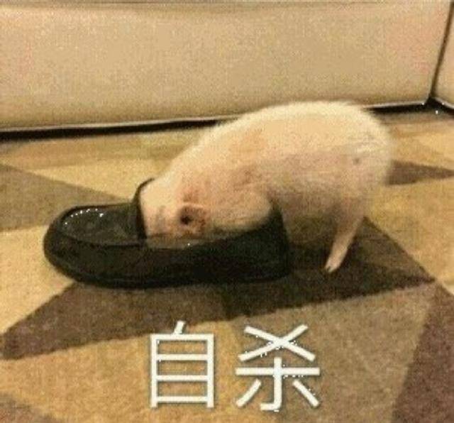 搞笑表情包:你真是一个又皮又欠揍的可爱女孩