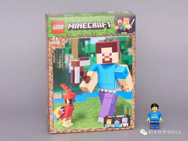 来自著名网站 brickset 的乐高lego 21148 minecraft steve bigfig