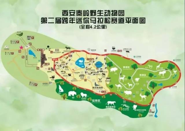 西安秦岭野生动物园举办第二届跨年迷你马拉松图片