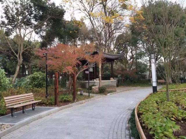虹口又一座老公园改造完成啦!是不是你们期待的模样.