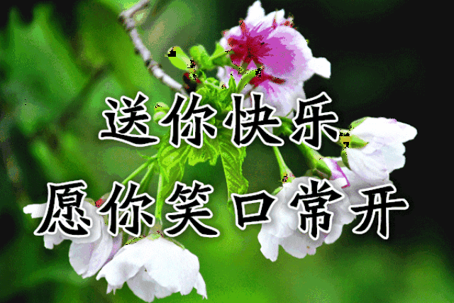 2019将至,一首《谢谢你》太好听了,致我最珍惜的朋友!