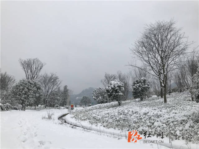 吉首:大坡气象公园白雪皑皑