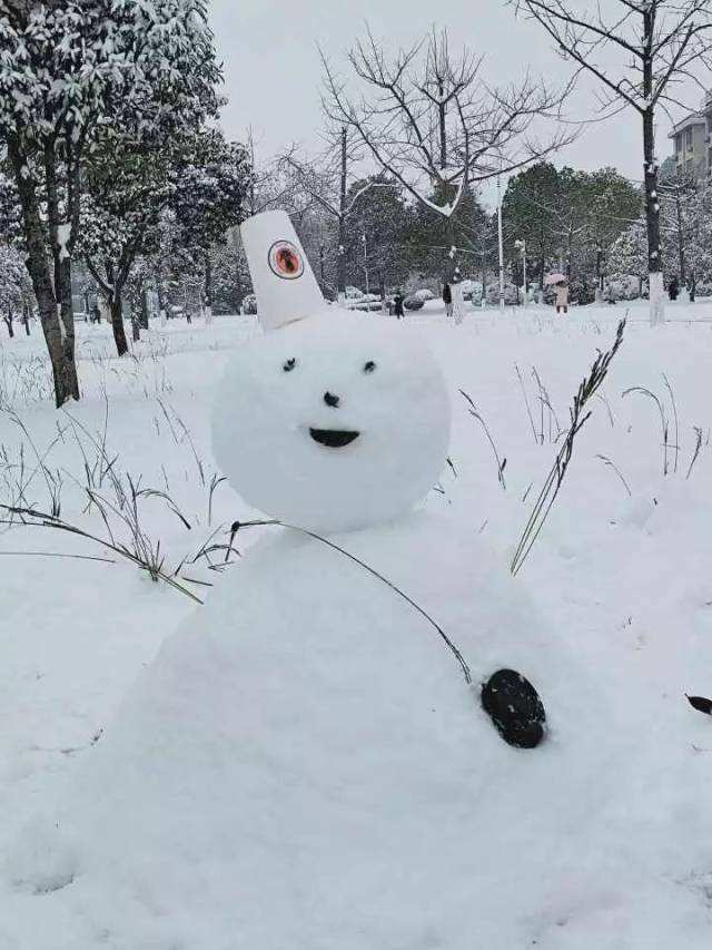 湖理今年的第一场大雪,你摔跤了吗?