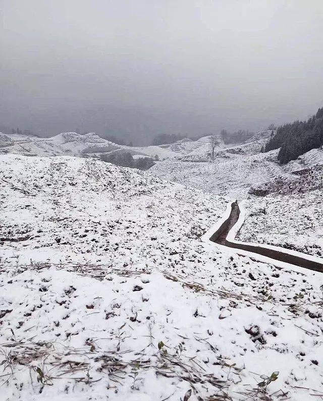 宜宾到处都下雪了,约起看雪去!