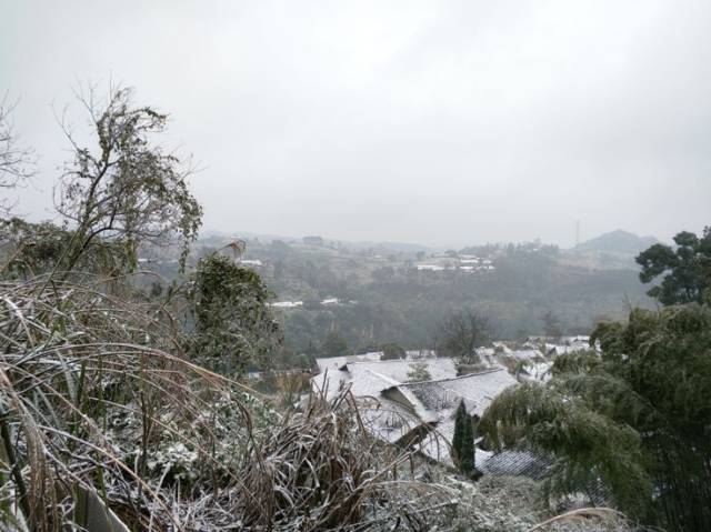 3 骑龙坳—小五哥提供 威远山王镇球马路(到山王主道)上有毛竹被