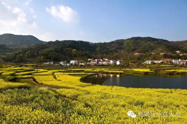 大箕村人口_杨箕村(3)