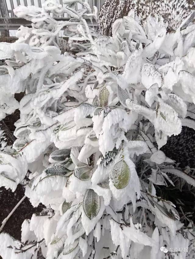 ��������������ѩ�ˣ����ӭ����ѩ����������Ȧ��������Ȫ����