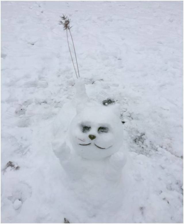 下雪天,原来可以这样堆雪人儿