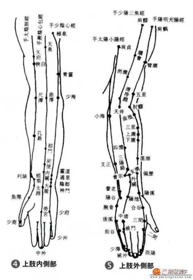 人体穴位图和手,脚的反射区图