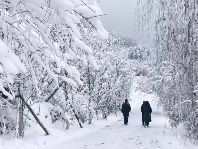 ��������������ѩ�ˣ����ӭ����ѩ����������Ȧ��������Ȫ����