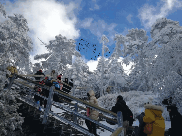 美呆了! 而轿子雪山的雪景更是美不胜收!