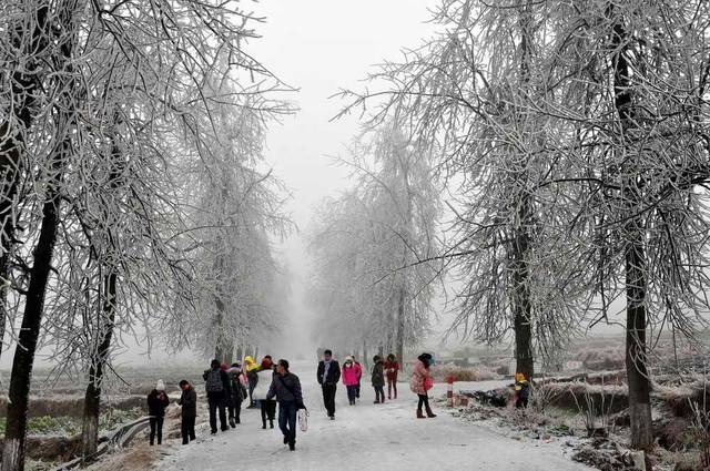 ��������������ѩ�ˣ����ӭ����ѩ����������Ȧ��������Ȫ����