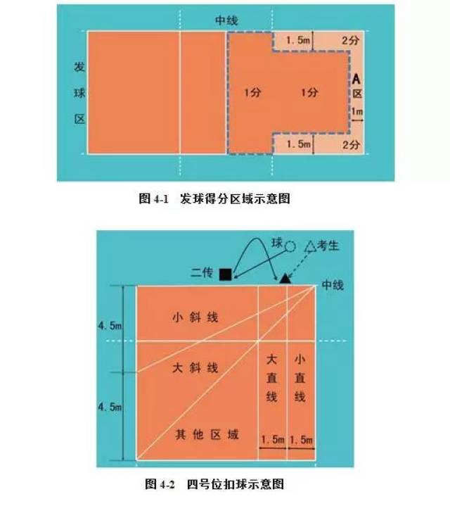 2019体育单招专项考试方法及评分标准:排球,沙滩排球